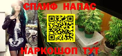 амф Будённовск