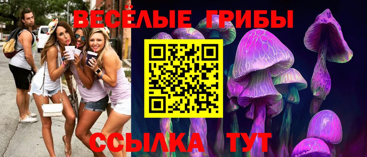 Саров  Псилоцибиновые грибы прущие грибы  Вход с VPN 