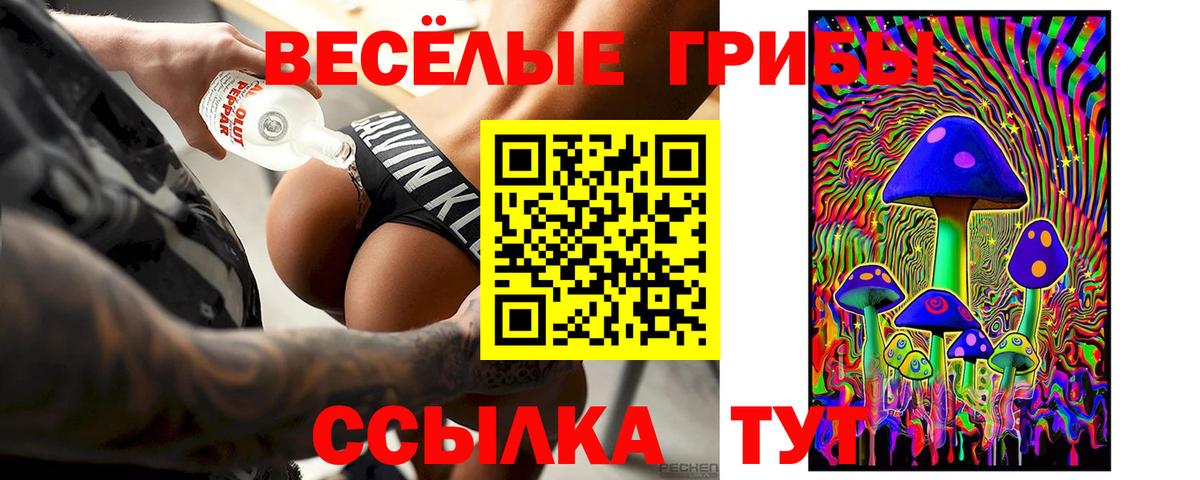 Псилоцибиновые грибы мухоморы Саров